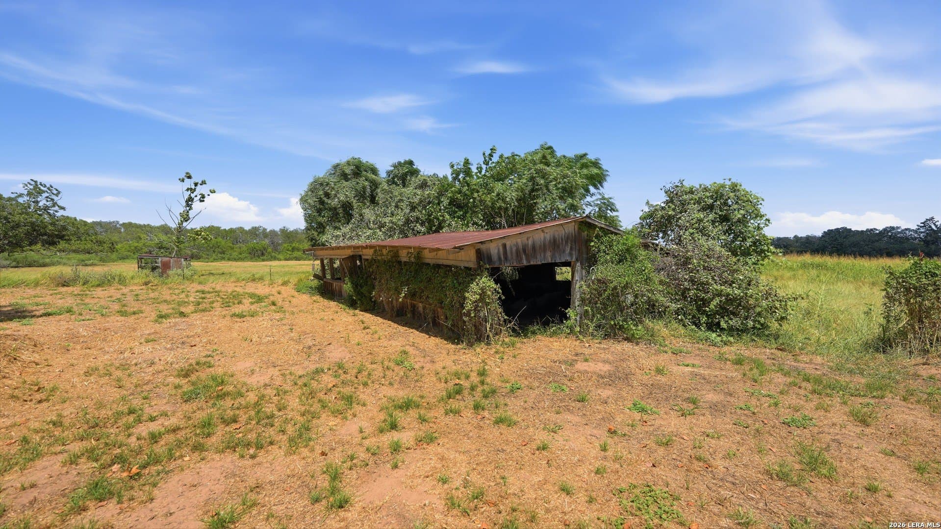 19.75 acres in Wilson County - photo 9