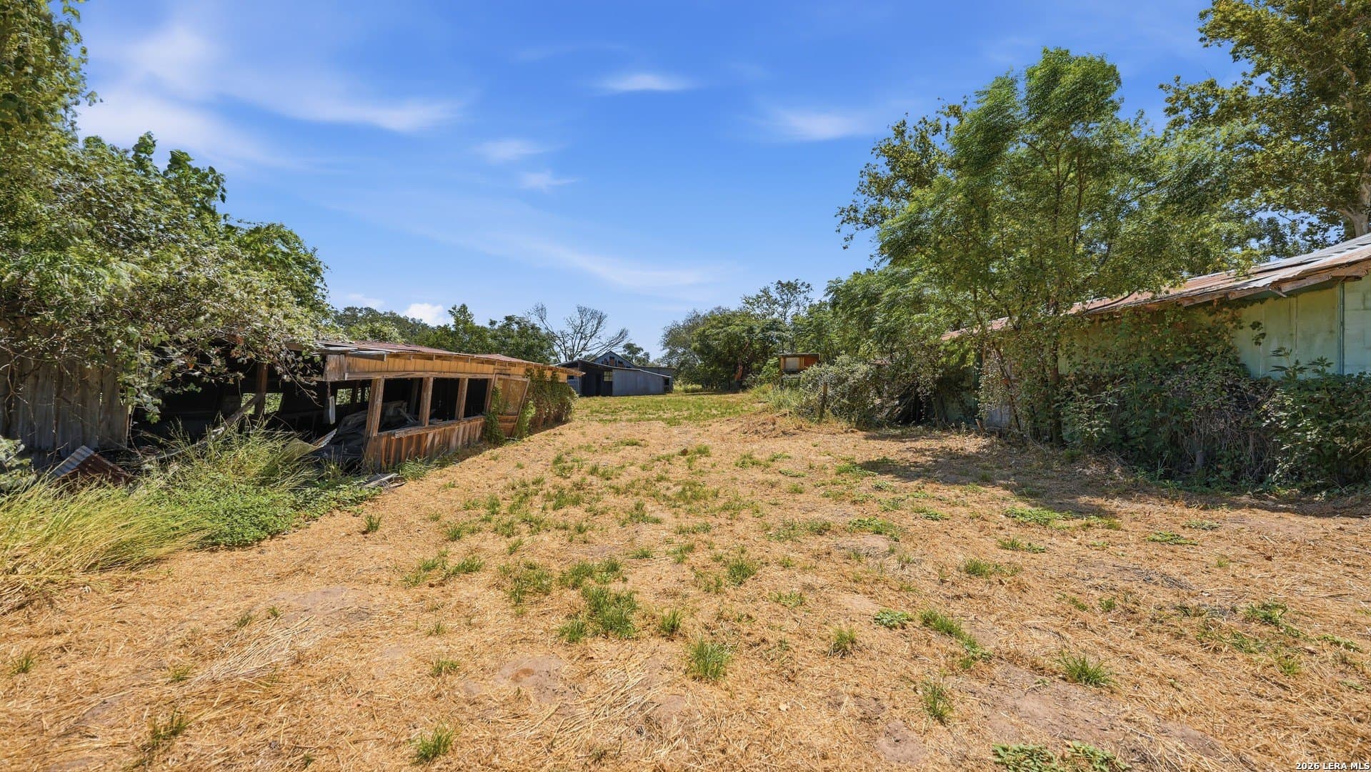 19.75 acres in Wilson County - photo 8