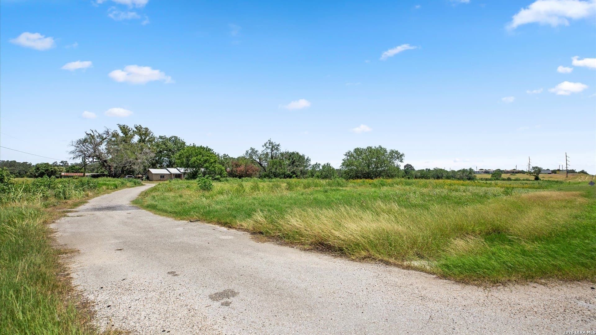 19.75 acres in Wilson County gallery image 4