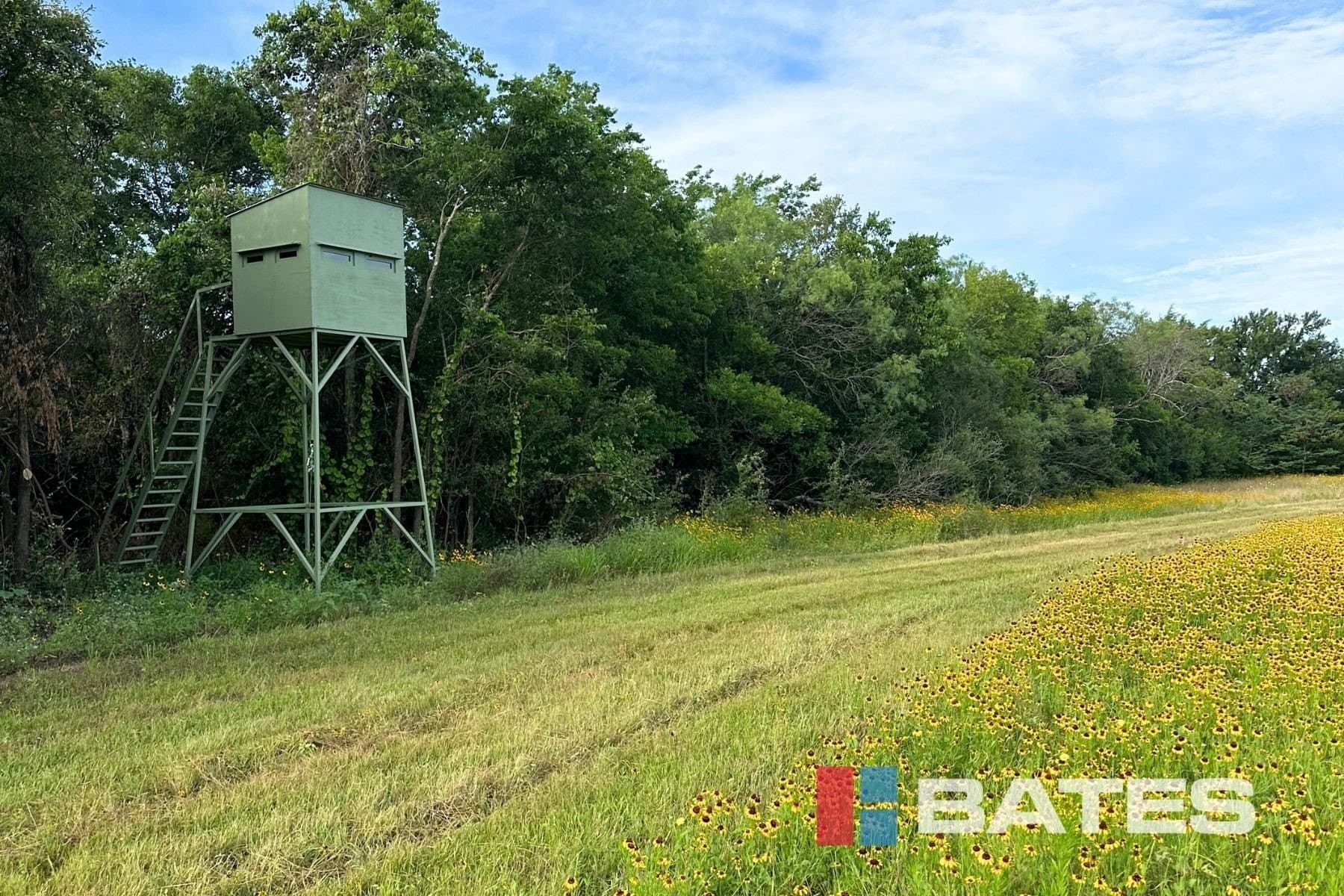 290 acres in Navarro County - photo 7
