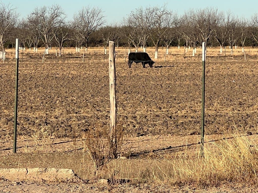 10 acres in Maverick County gallery image 4