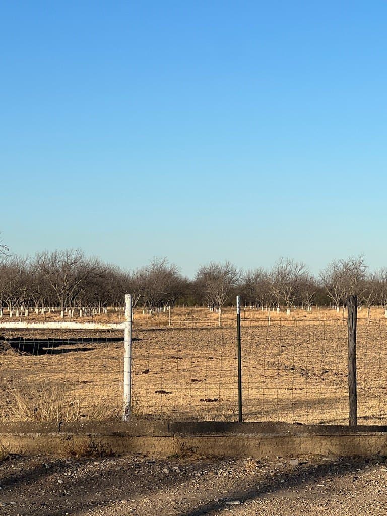 10 acres in Maverick County gallery image 3