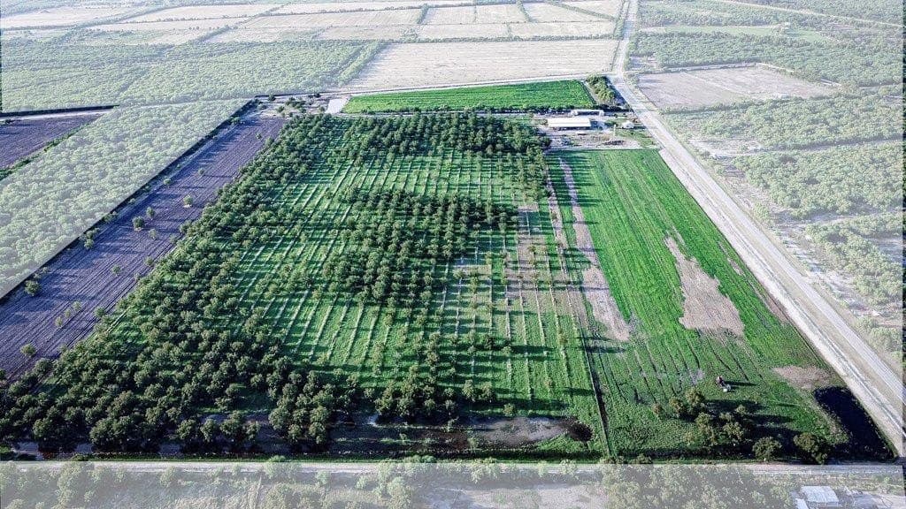 10 acres in Maverick County - photo 6
