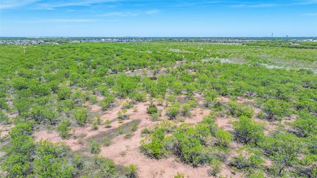 20 acres in Taylor County featured view