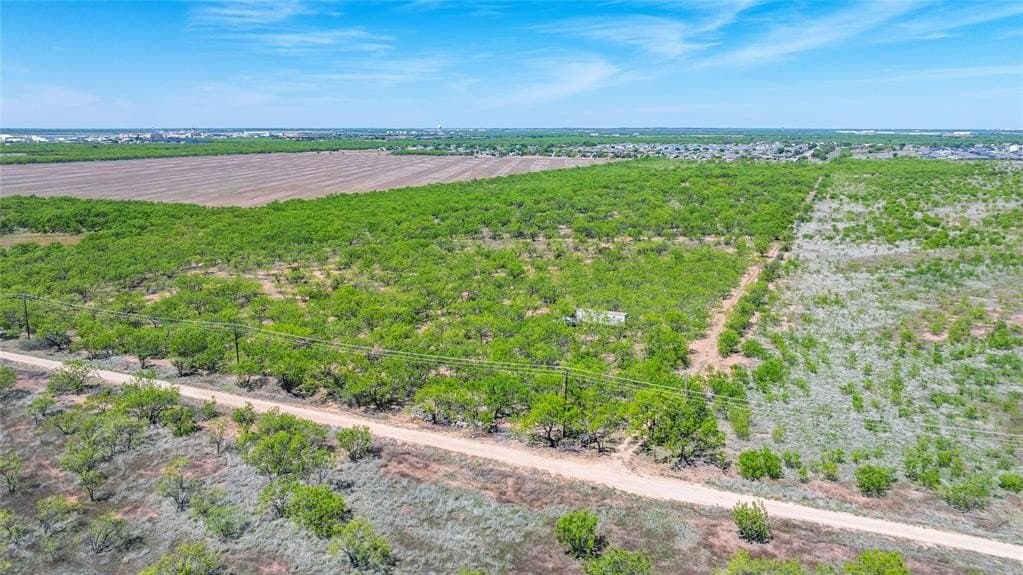 20 acres in Taylor County gallery image 3