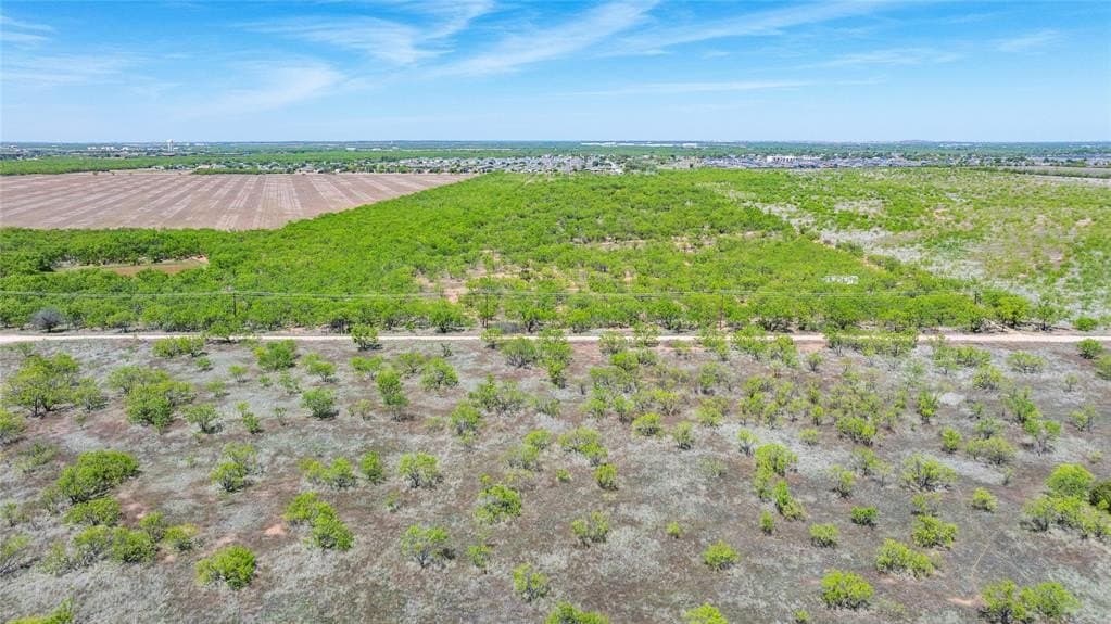 20 acres in Taylor County gallery image 4