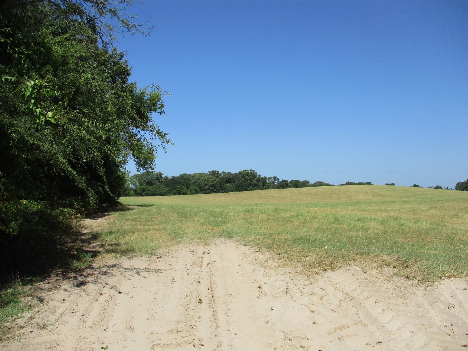 159 acres in Rains County featured view