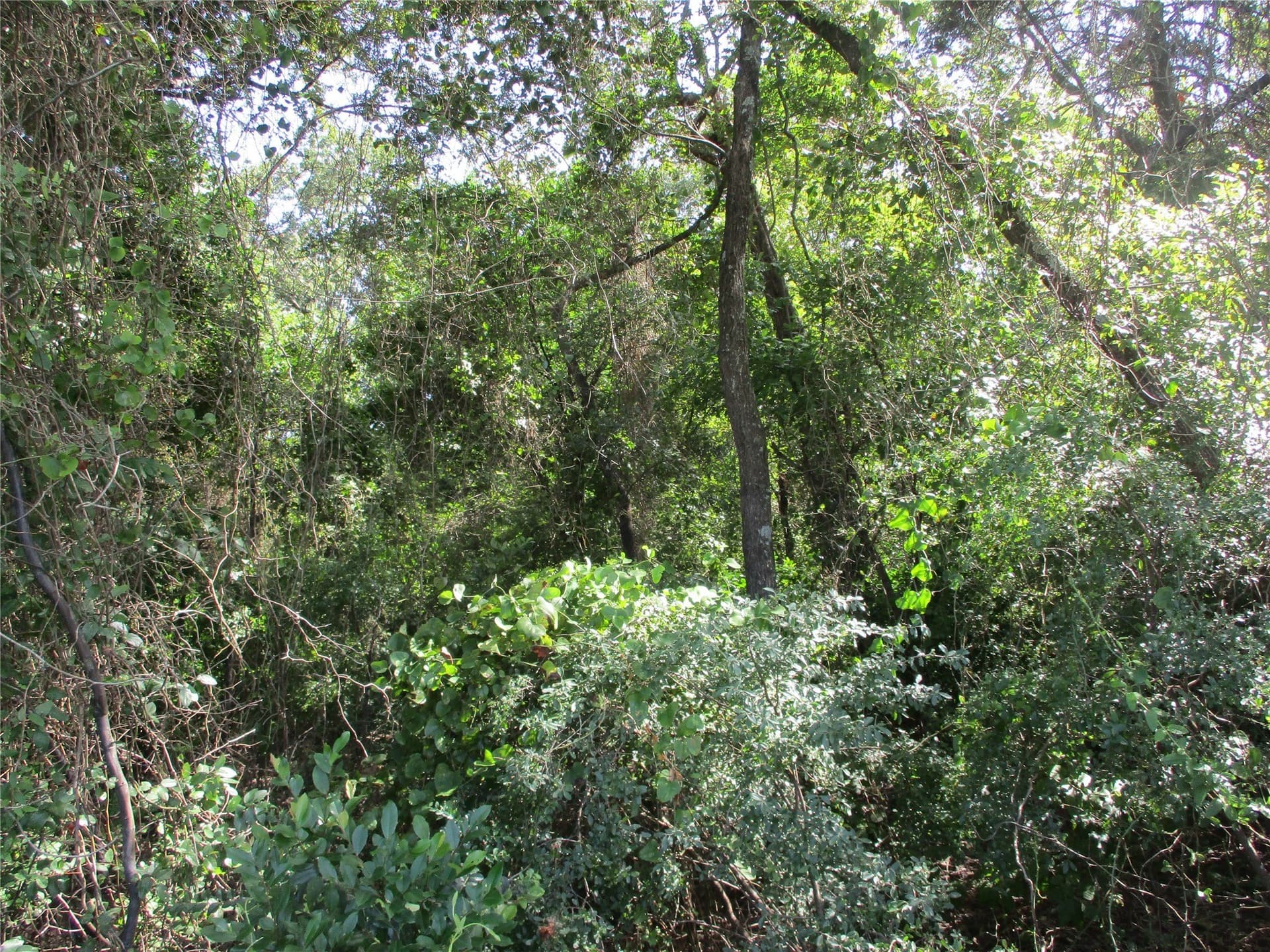 159 acres in Rains County - photo 14