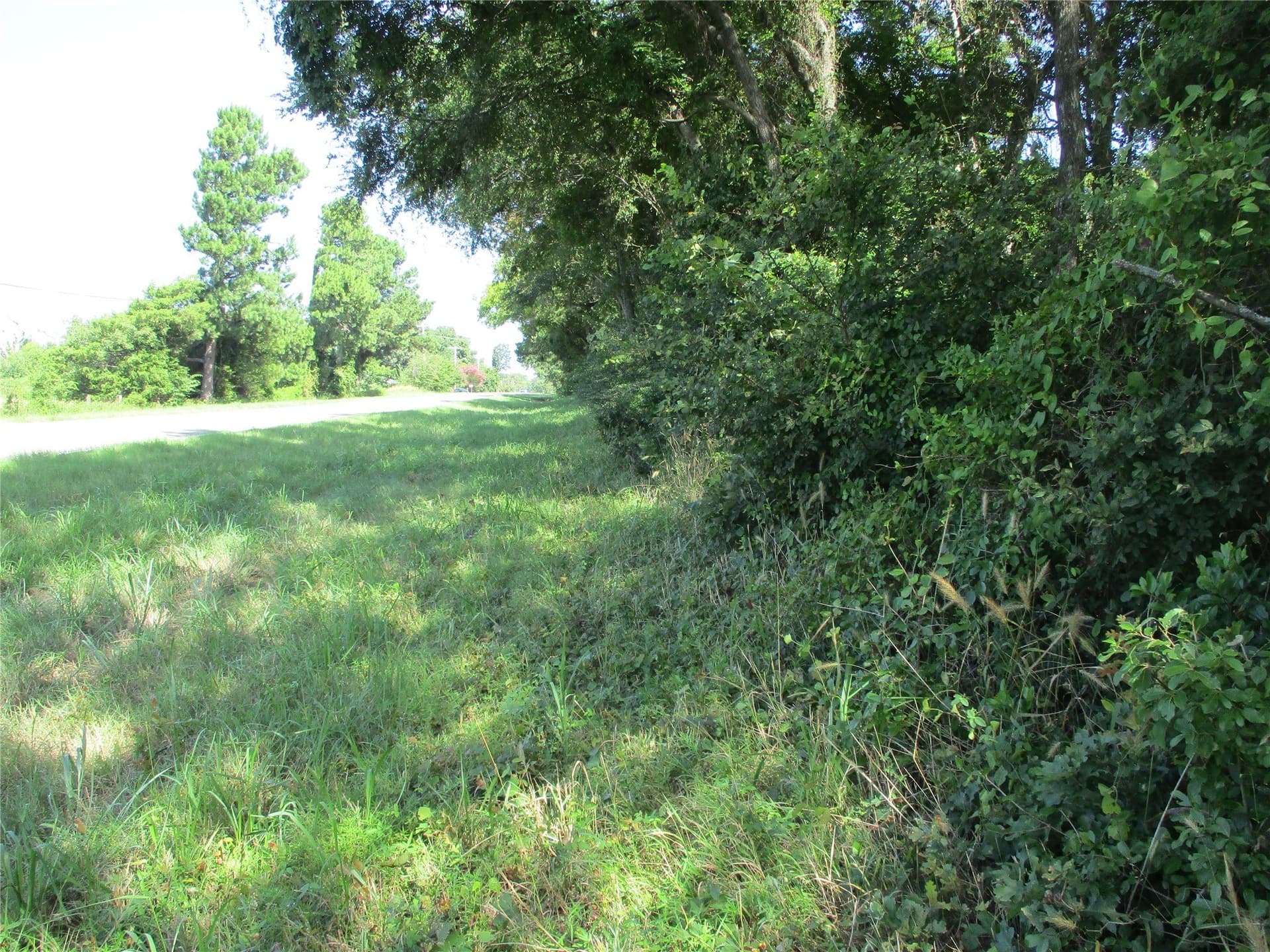 159 acres in Rains County - photo 15