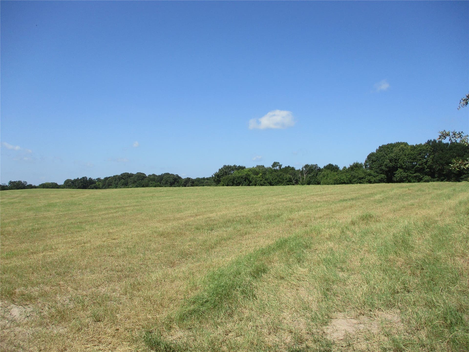 159 acres in Rains County - photo 10