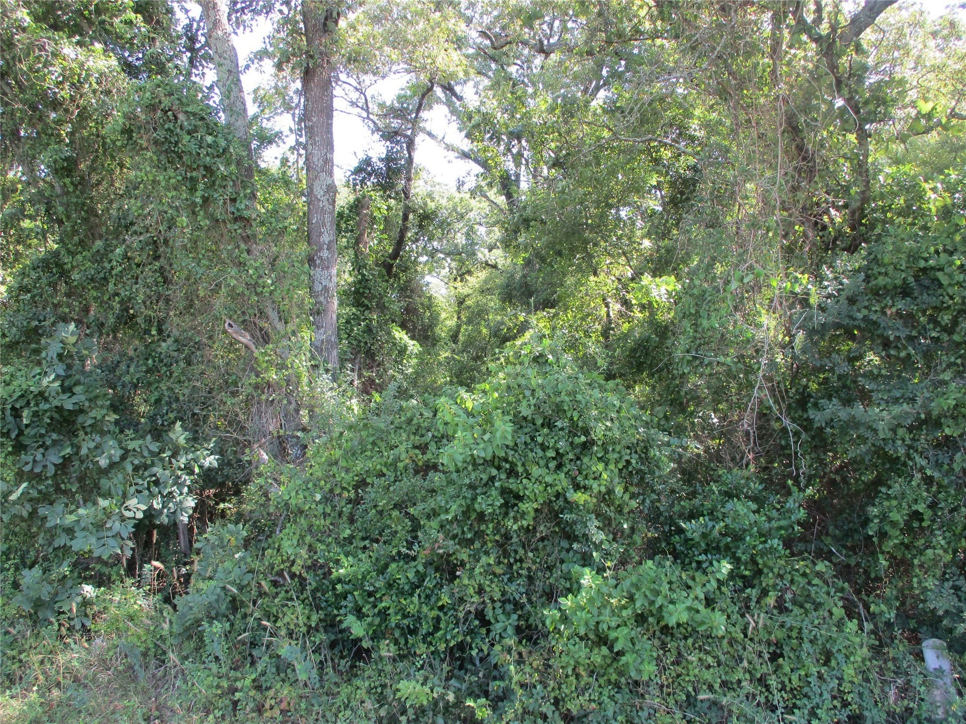 159 acres in Rains County - photo 18