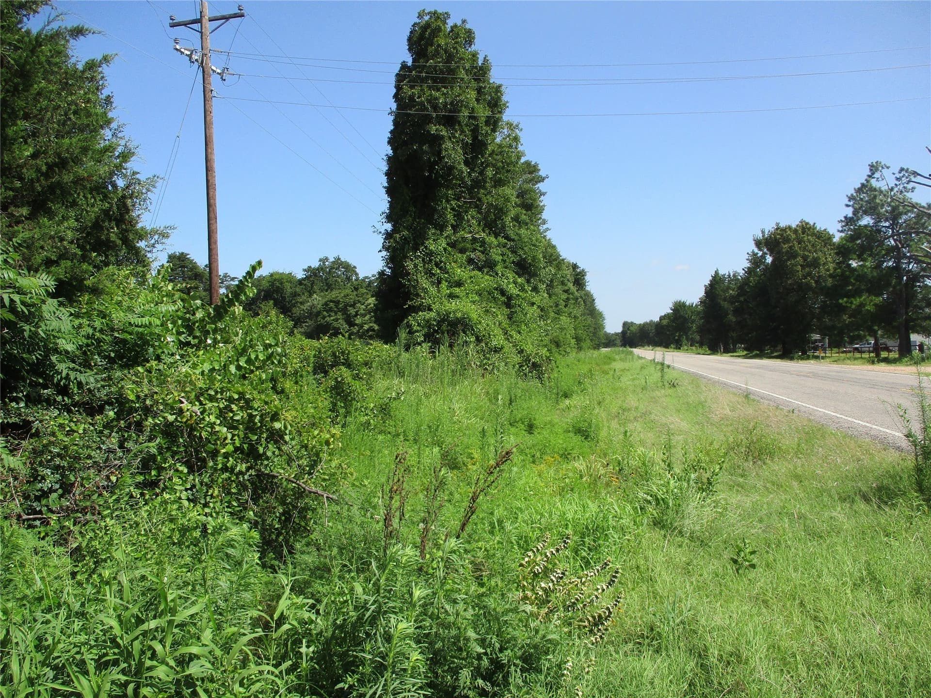 159 acres in Rains County - photo 12