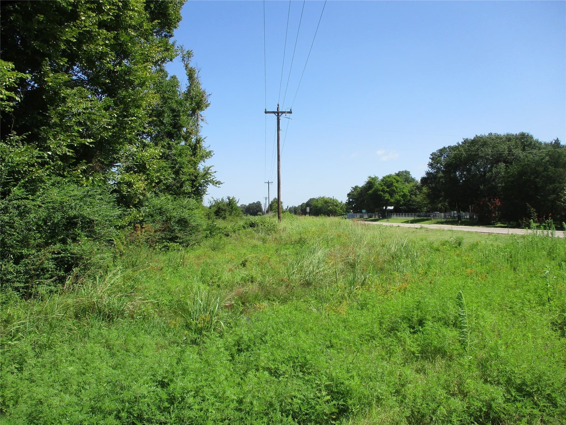 159 acres in Rains County - photo 13