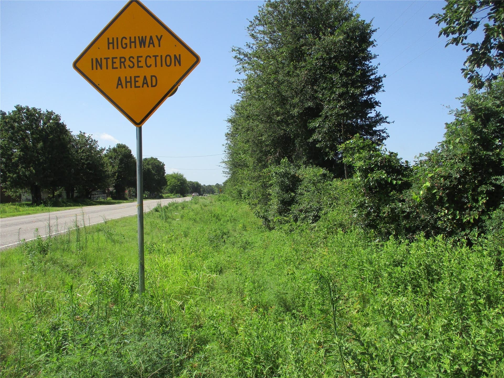 159 acres in Rains County - photo 11