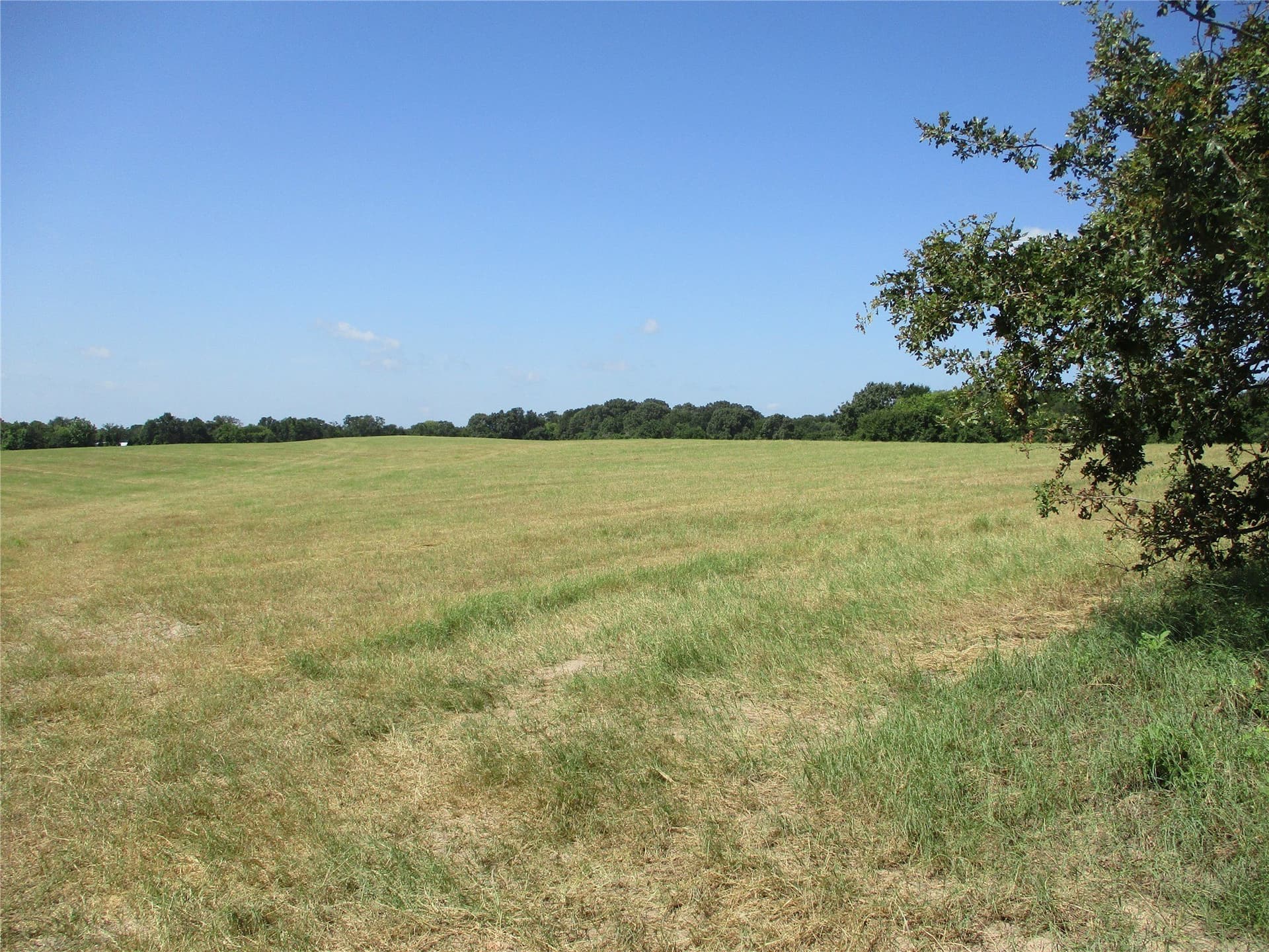 159 acres in Rains County - photo 8