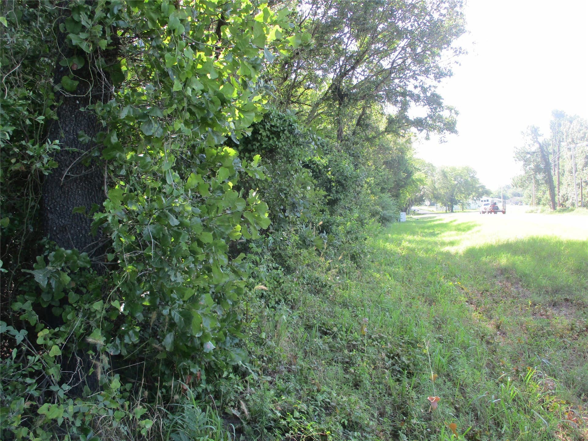 159 acres in Rains County - photo 17