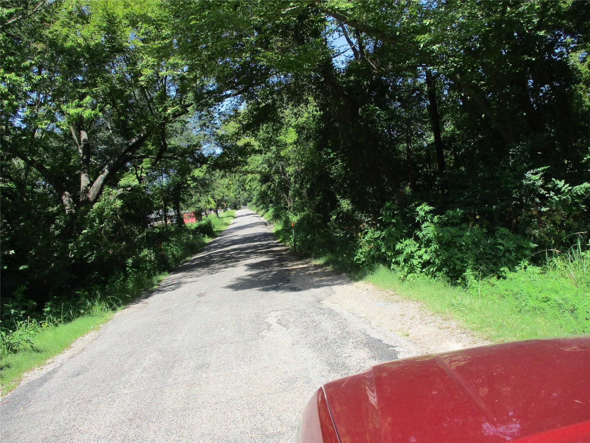 159 acres in Rains County - photo 19