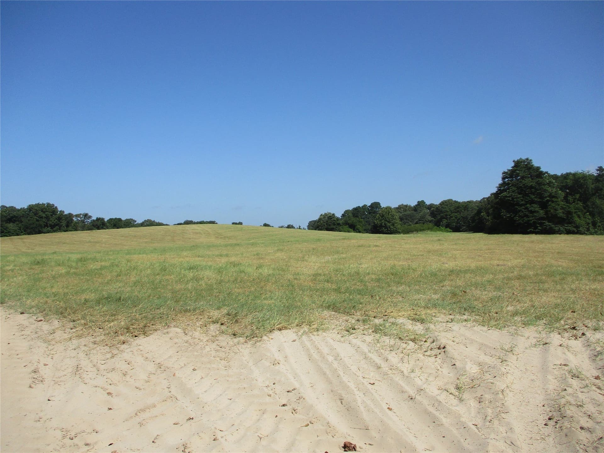 159 acres in Rains County gallery image 4