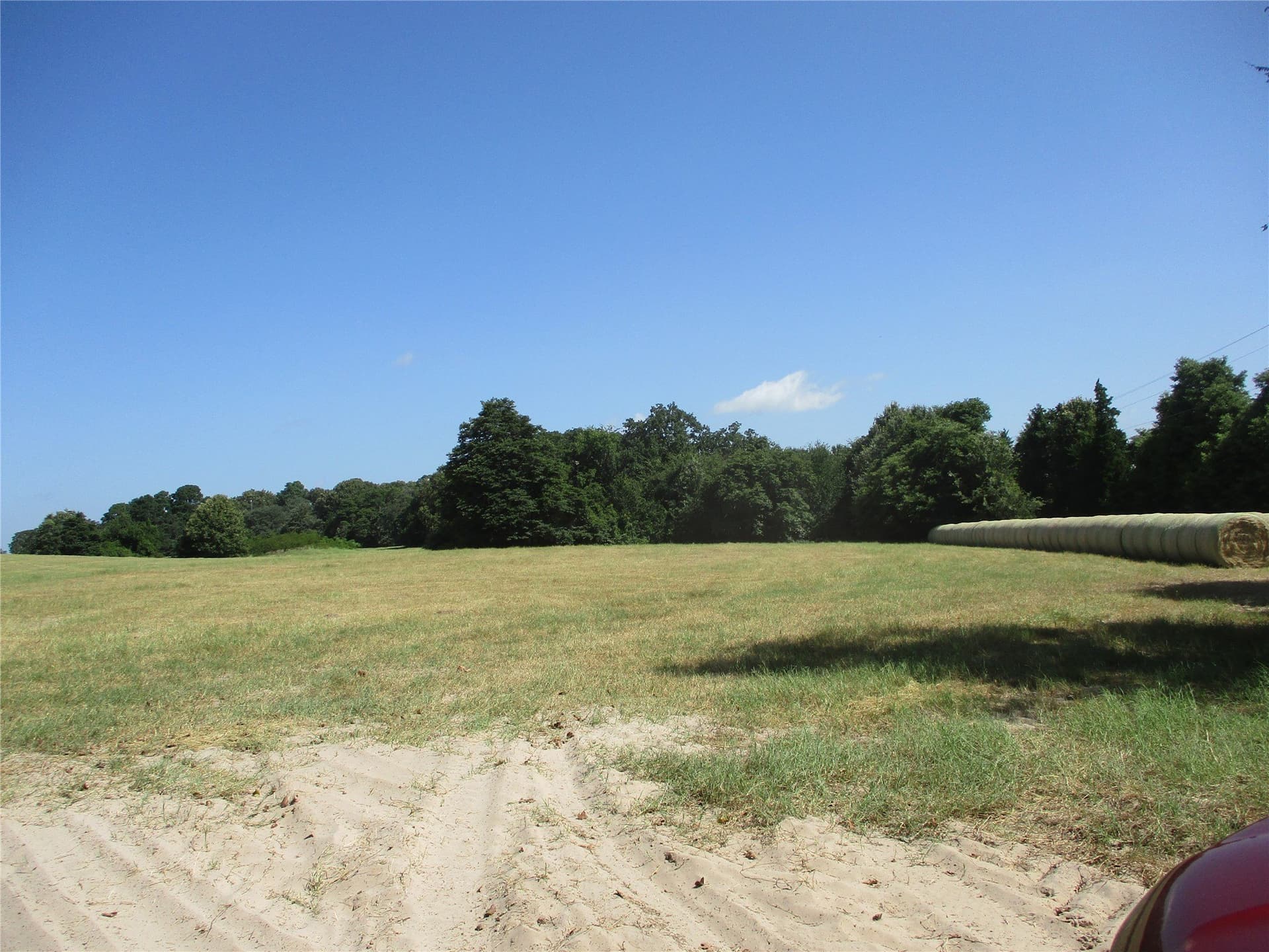 159 acres in Rains County gallery image 3