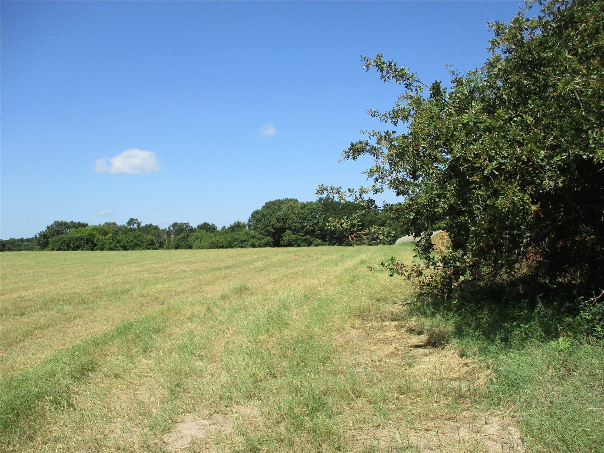 159 acres in Rains County - photo 9