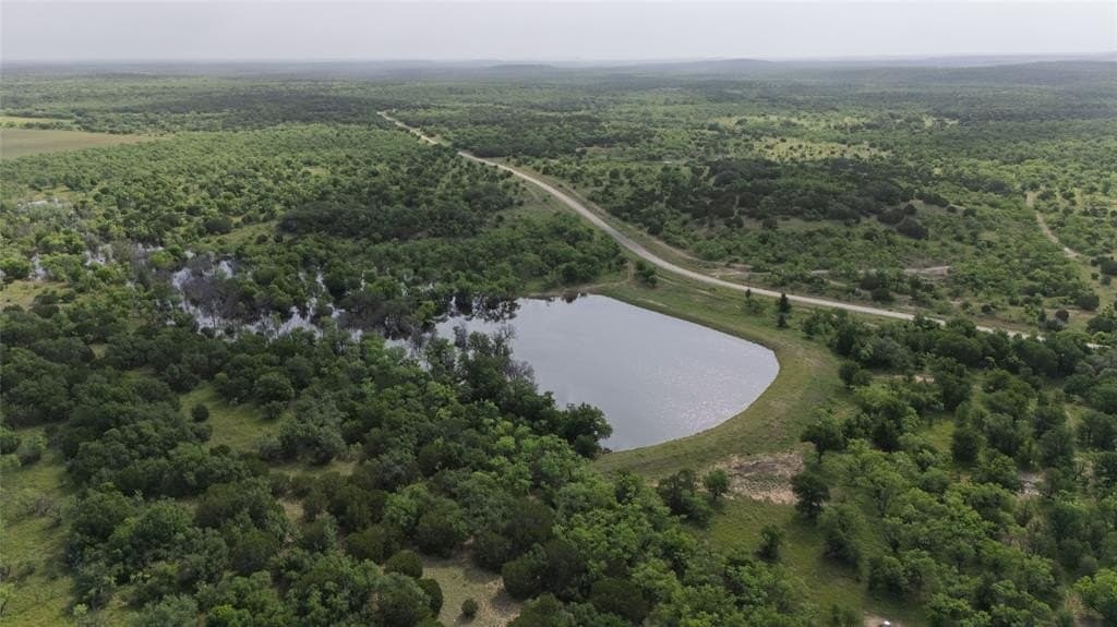 200.83 acres in Stephens County gallery image 3