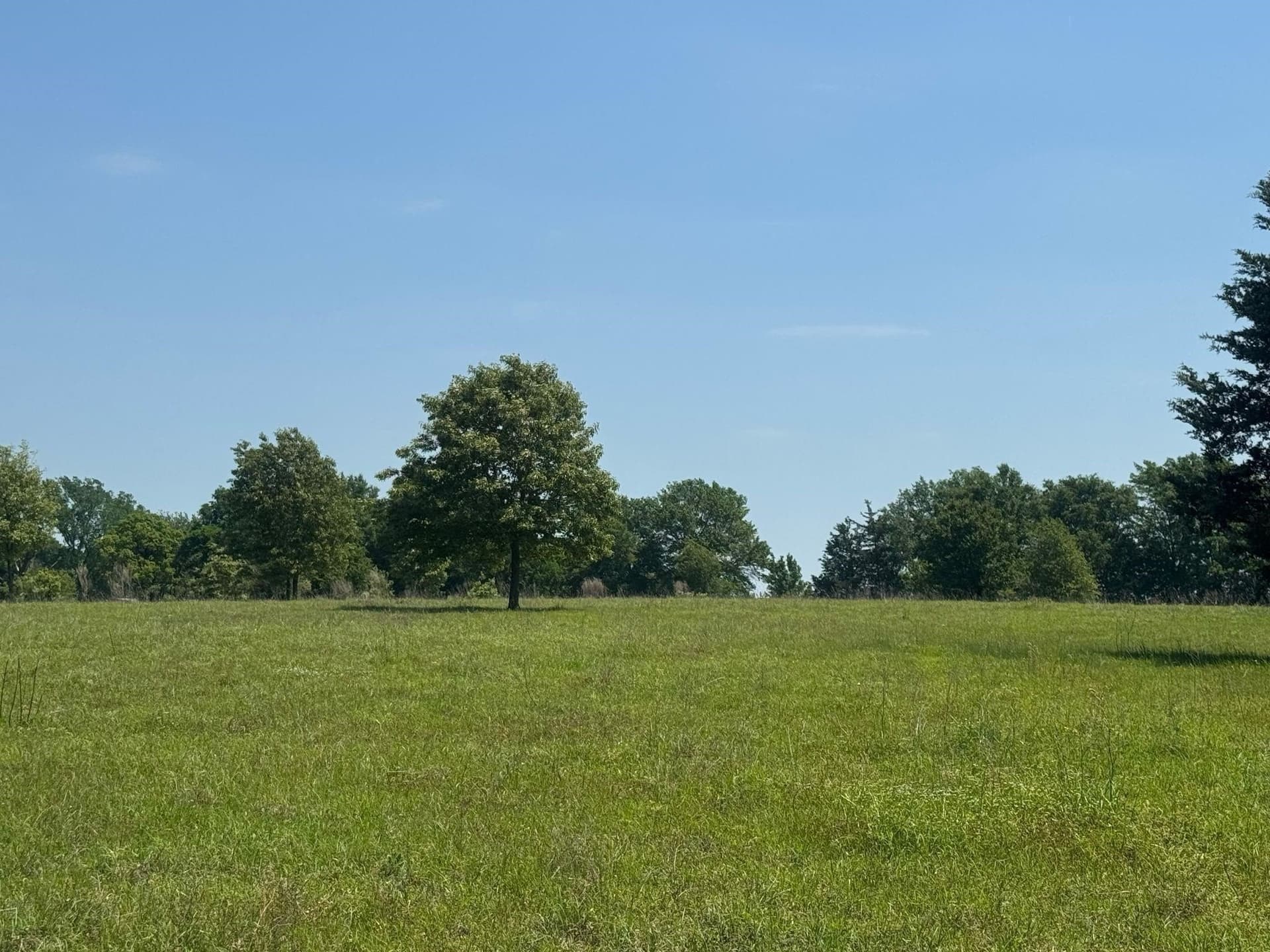 55.8 acres in Anderson County - photo 8