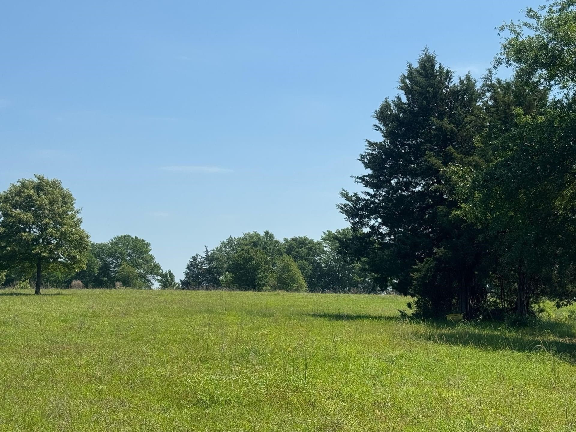 55.8 acres in Anderson County - photo 9