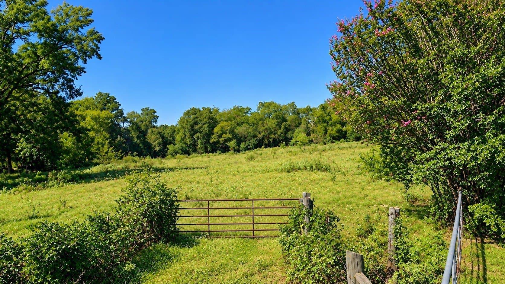 55.8 acres in Anderson County - photo 2