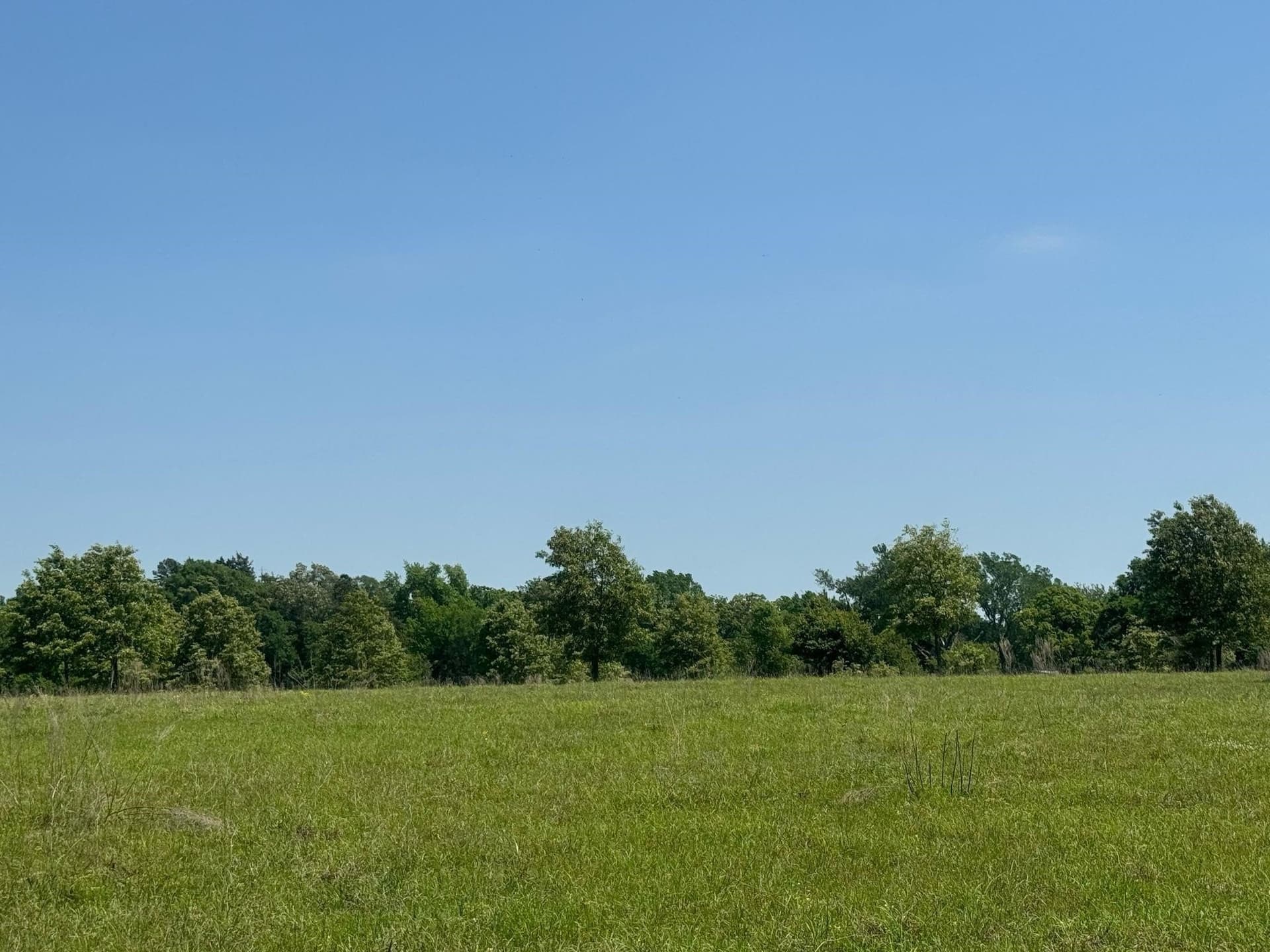 55.8 acres in Anderson County - photo 7