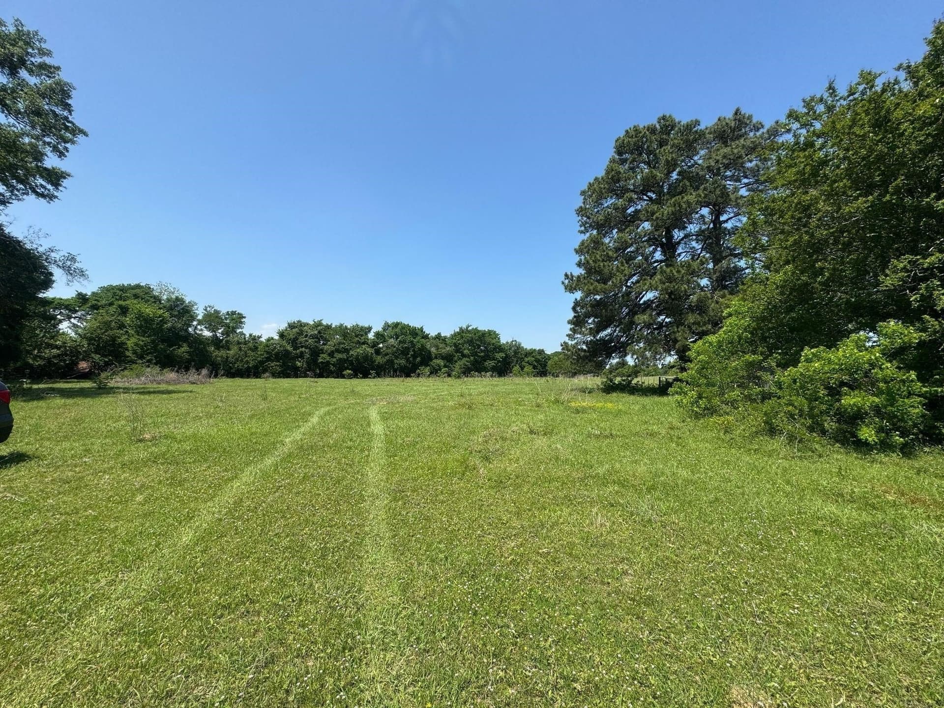 55.8 acres in Anderson County - photo 10