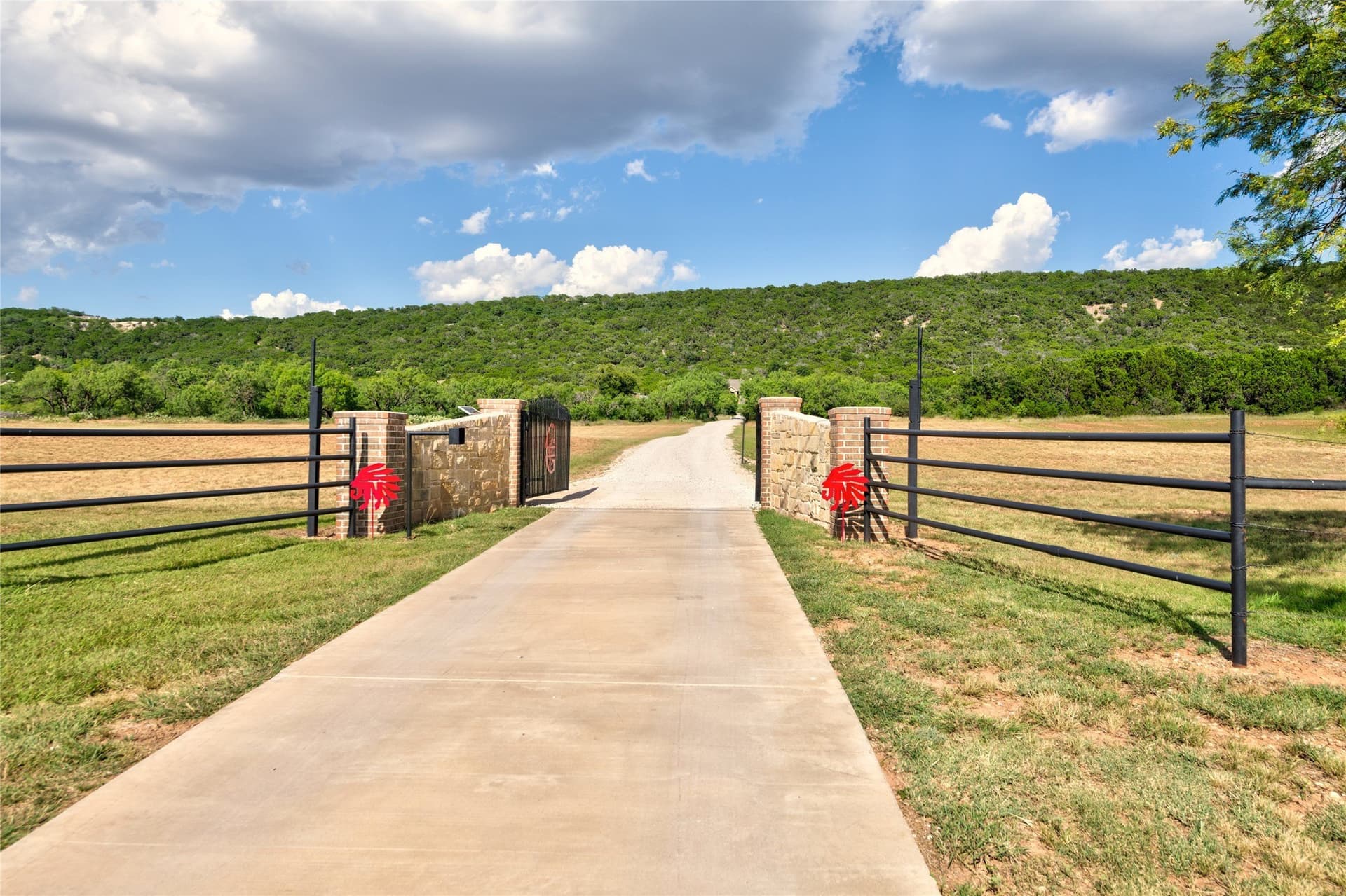 25.64 acres in Taylor County gallery image 2