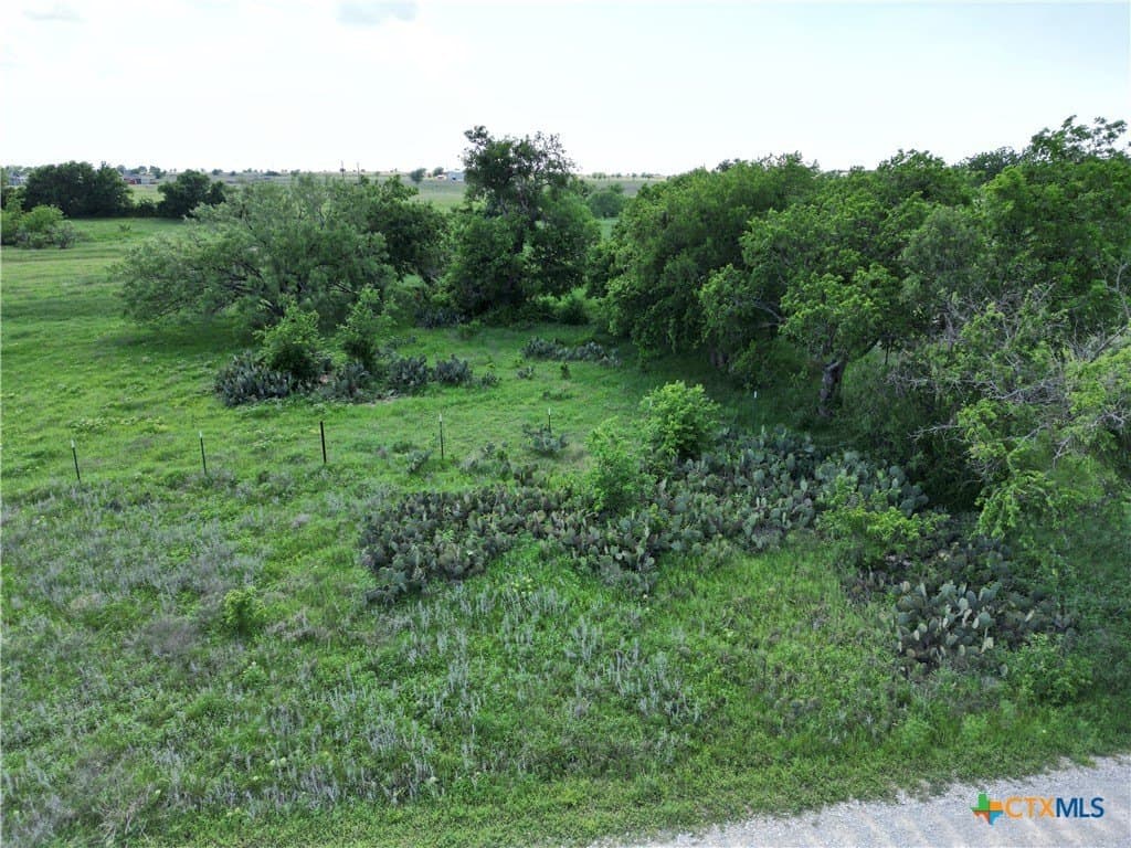 9.04 acres in Burnet County - photo 8