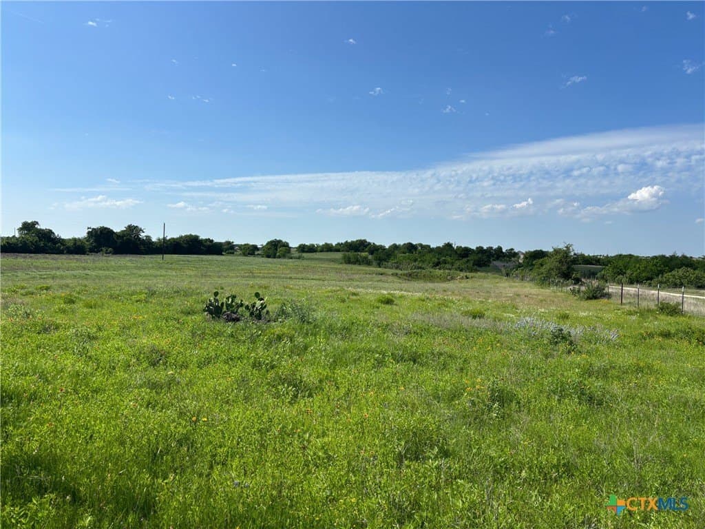 9.04 acres in Burnet County - photo 12
