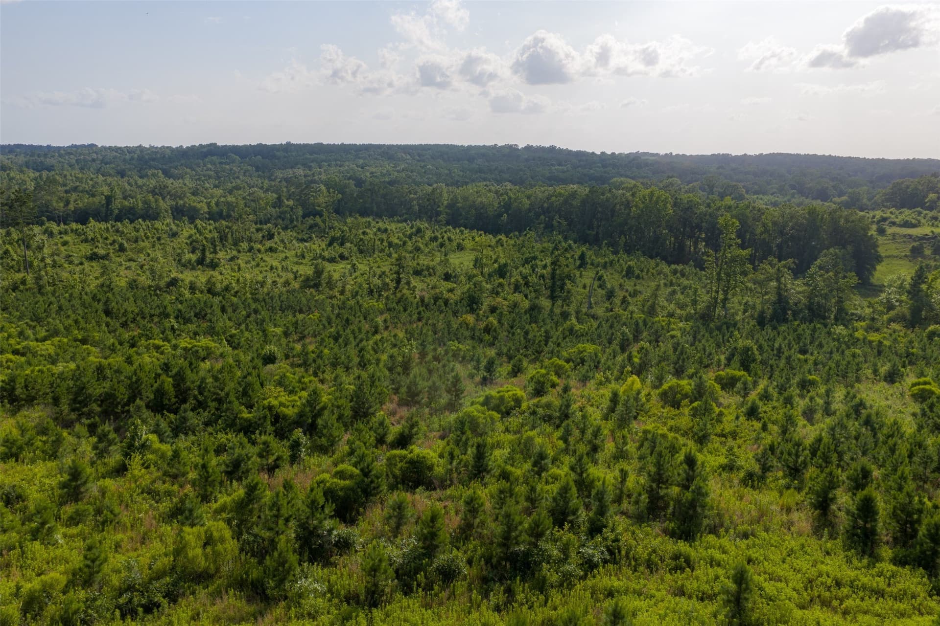48.29 acres in Rusk County - photo 27