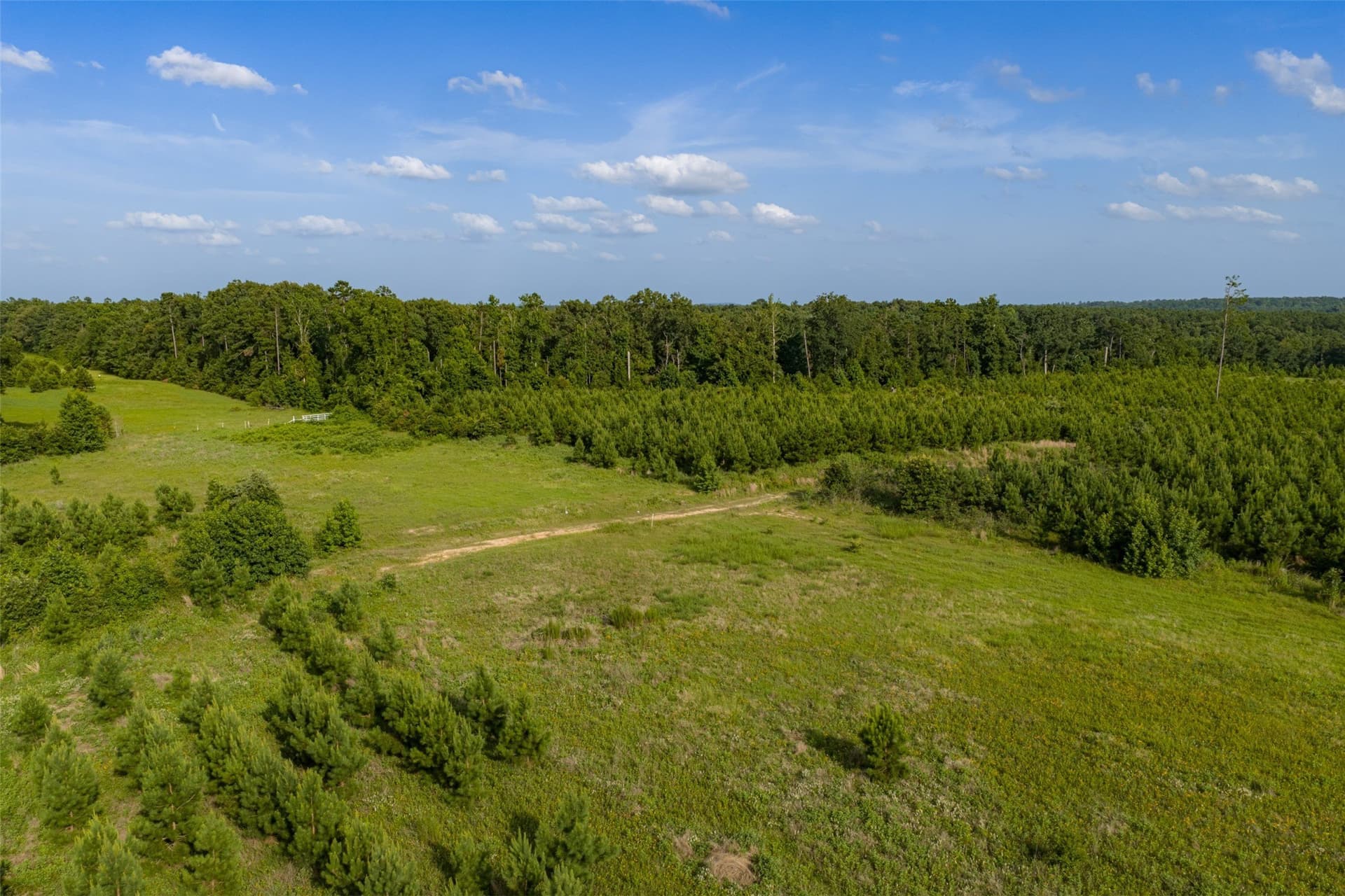 48.29 acres in Rusk County - photo 16