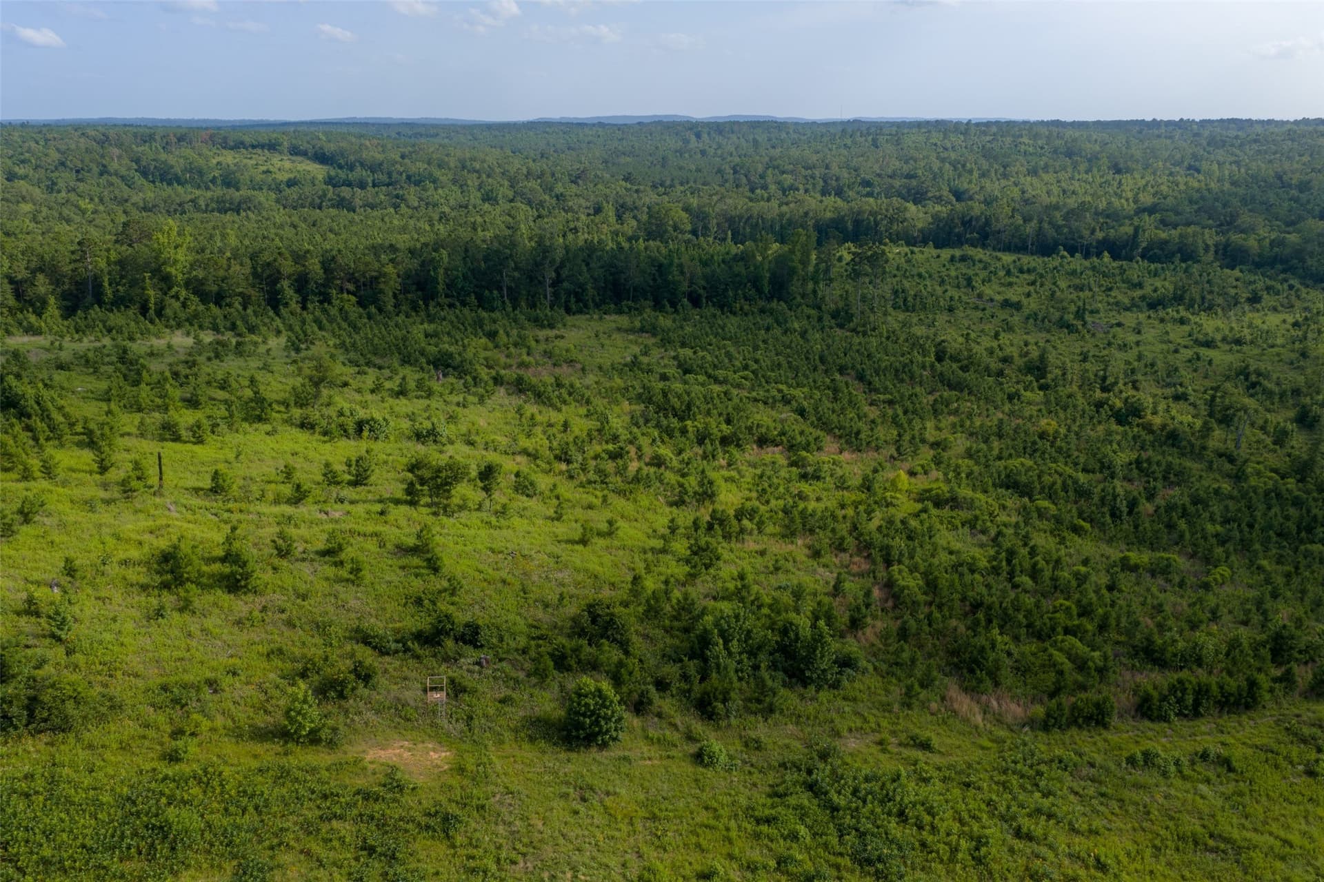 48.29 acres in Rusk County - photo 13