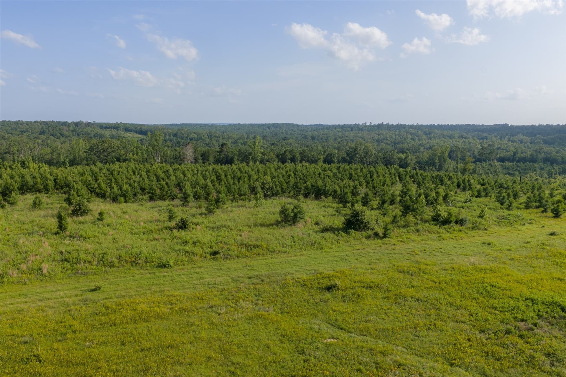48.29 acres in Rusk County - photo 14