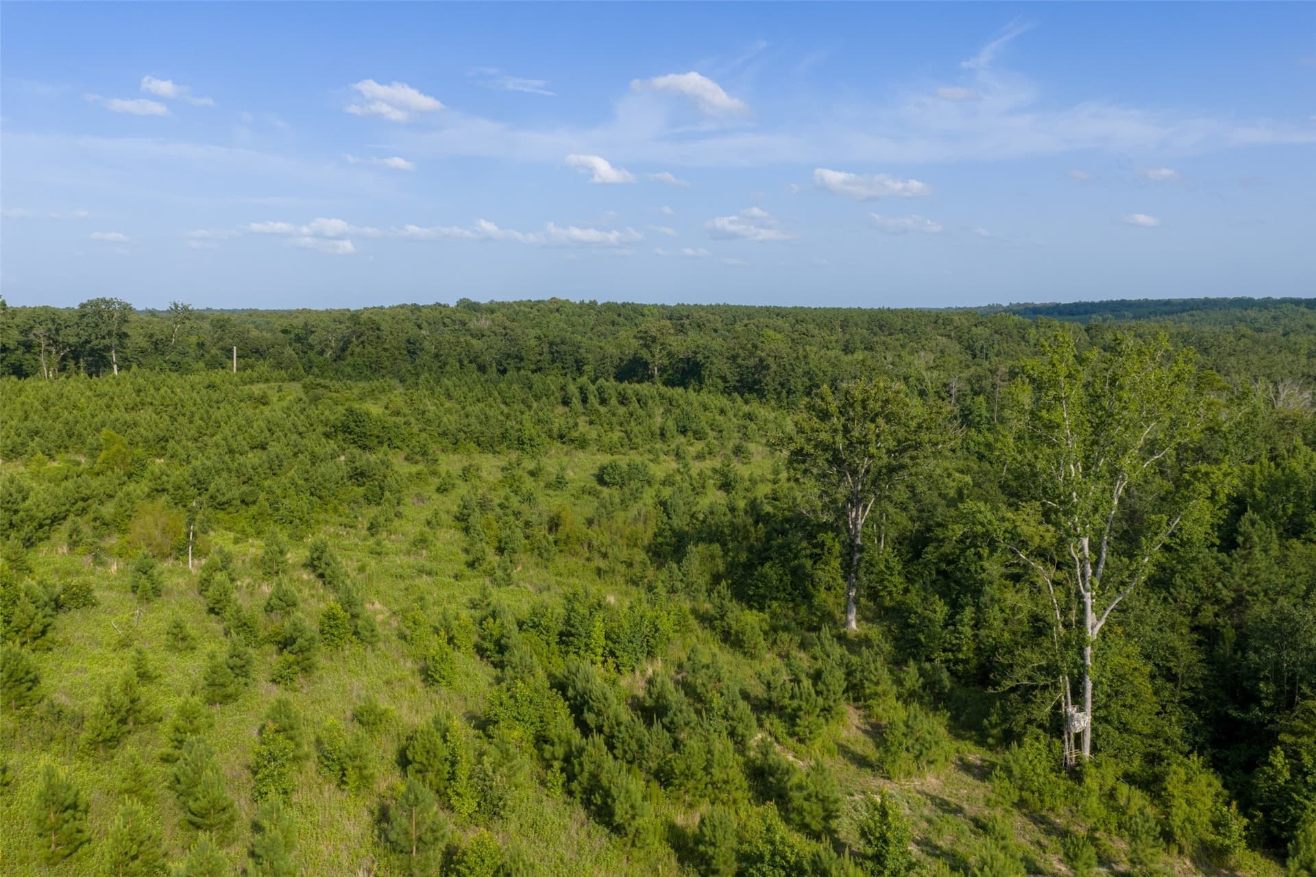 48.29 acres in Rusk County - photo 29