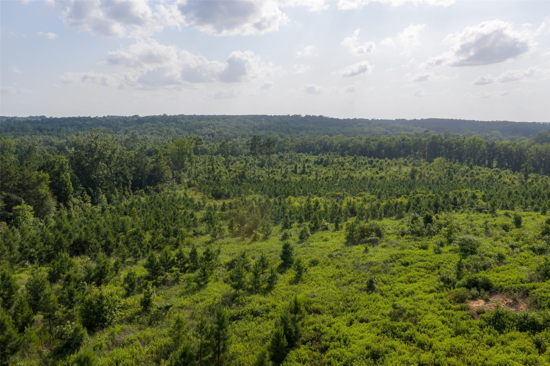 48.29 acres in Rusk County - photo 3