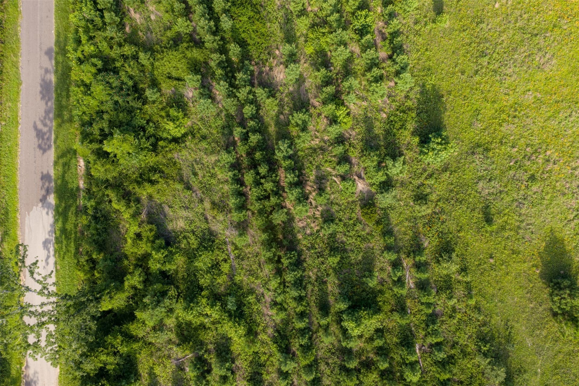 48.29 acres in Rusk County - photo 15