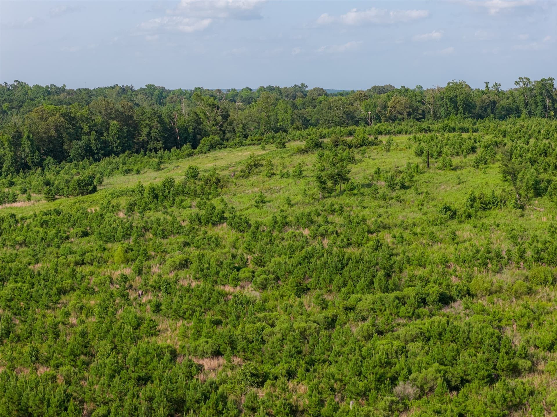 48.29 acres in Rusk County - photo 35