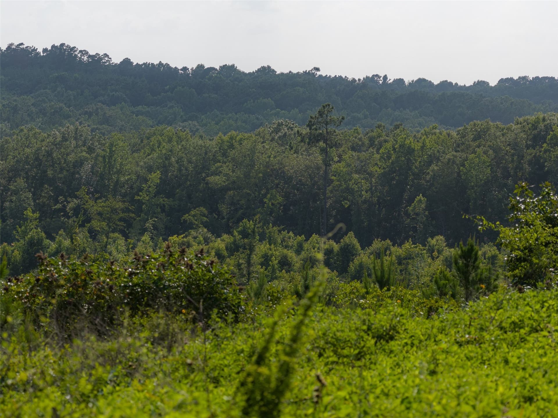 48.29 acres in Rusk County - photo 28