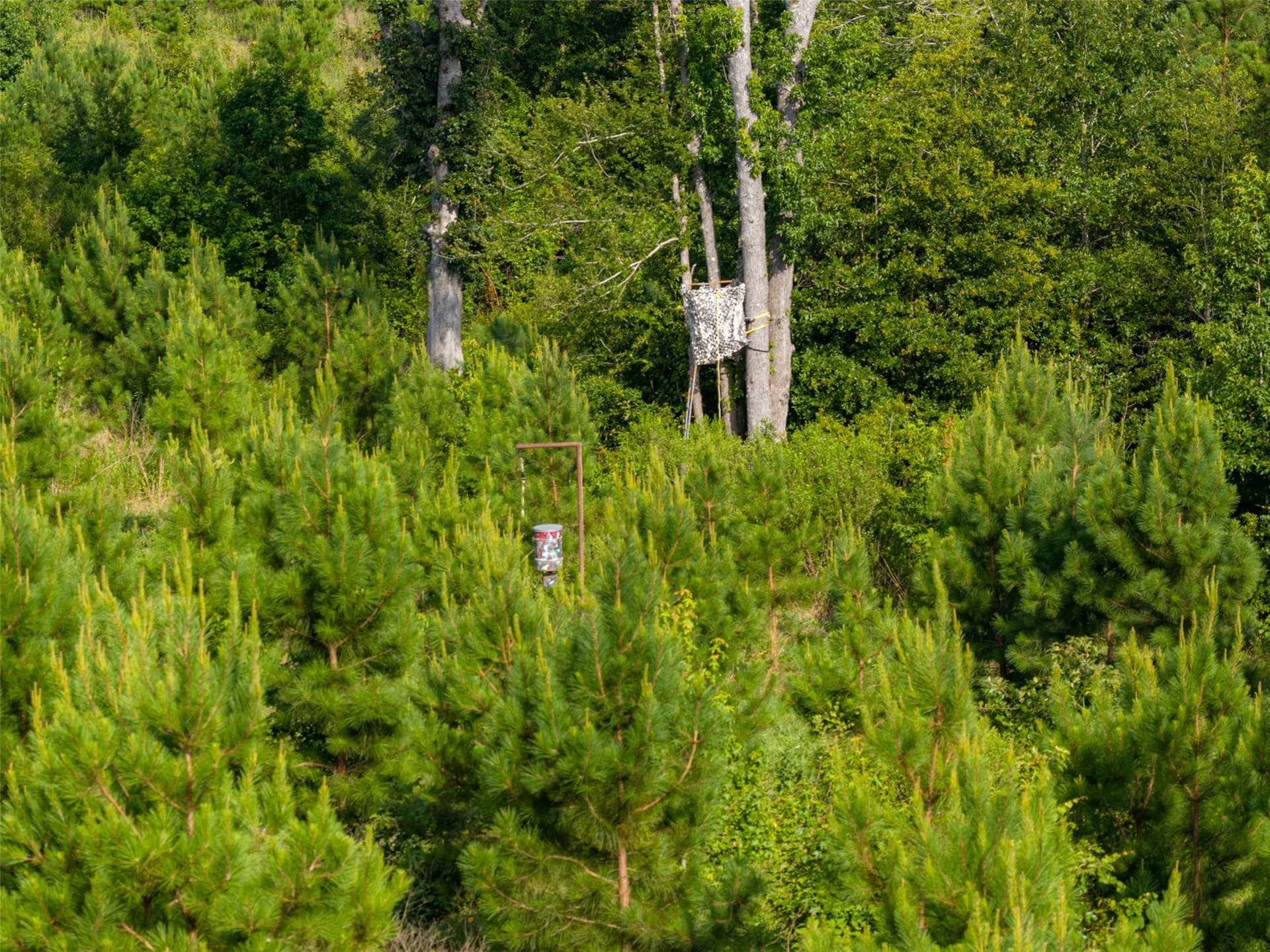 48.29 acres in Rusk County - photo 7