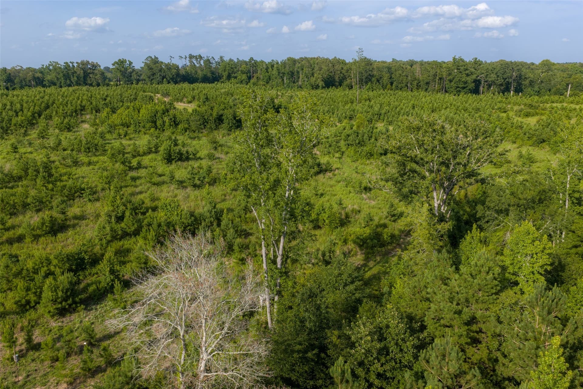 48.29 acres in Rusk County - photo 24