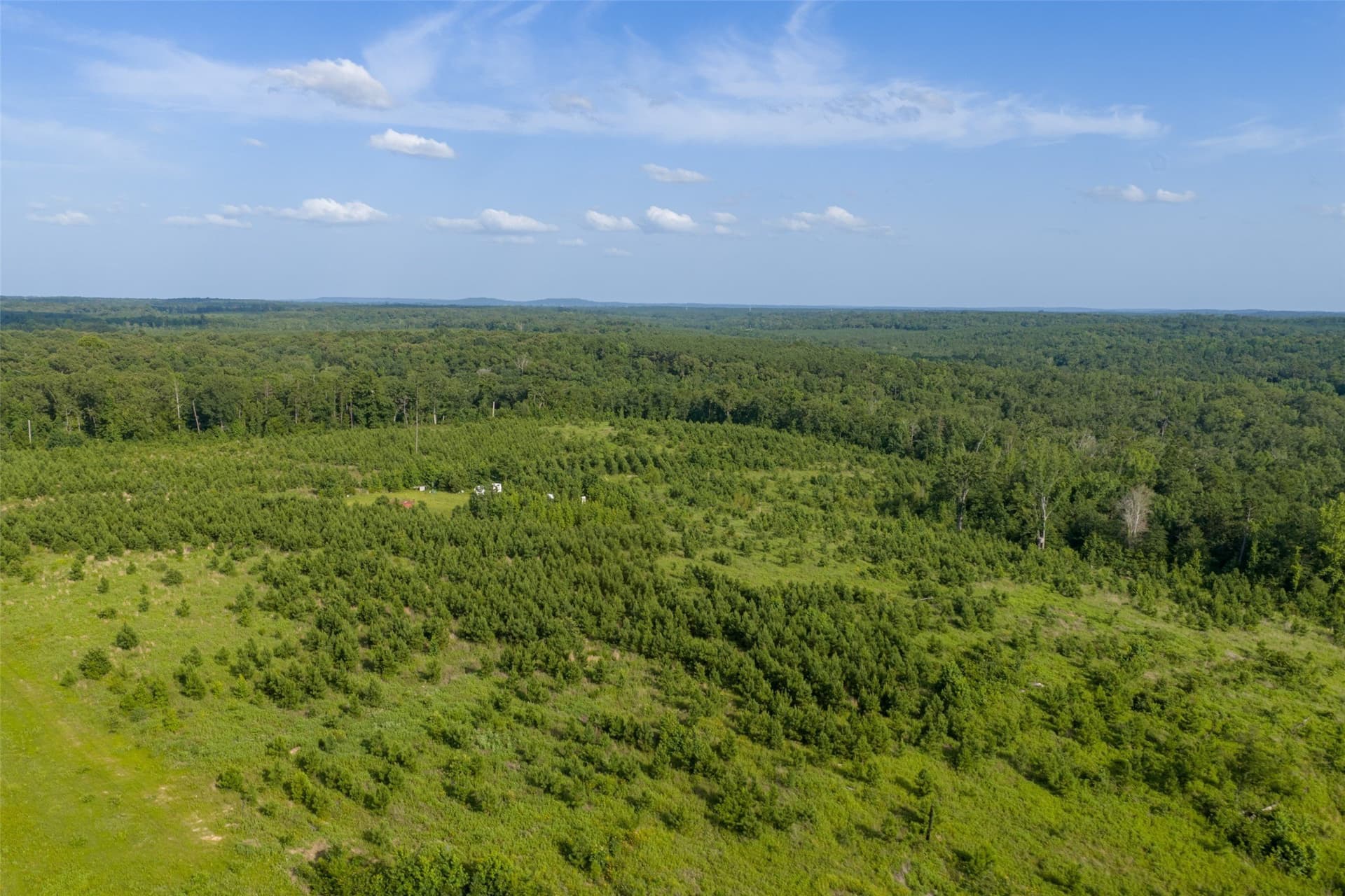 48.29 acres in Rusk County - photo 6