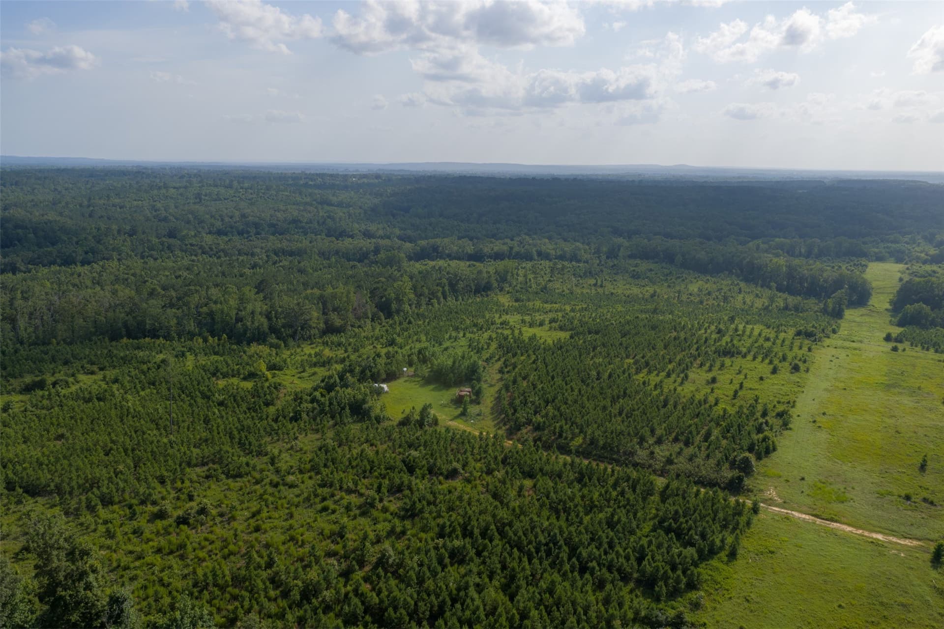 48.29 acres in Rusk County - photo 12