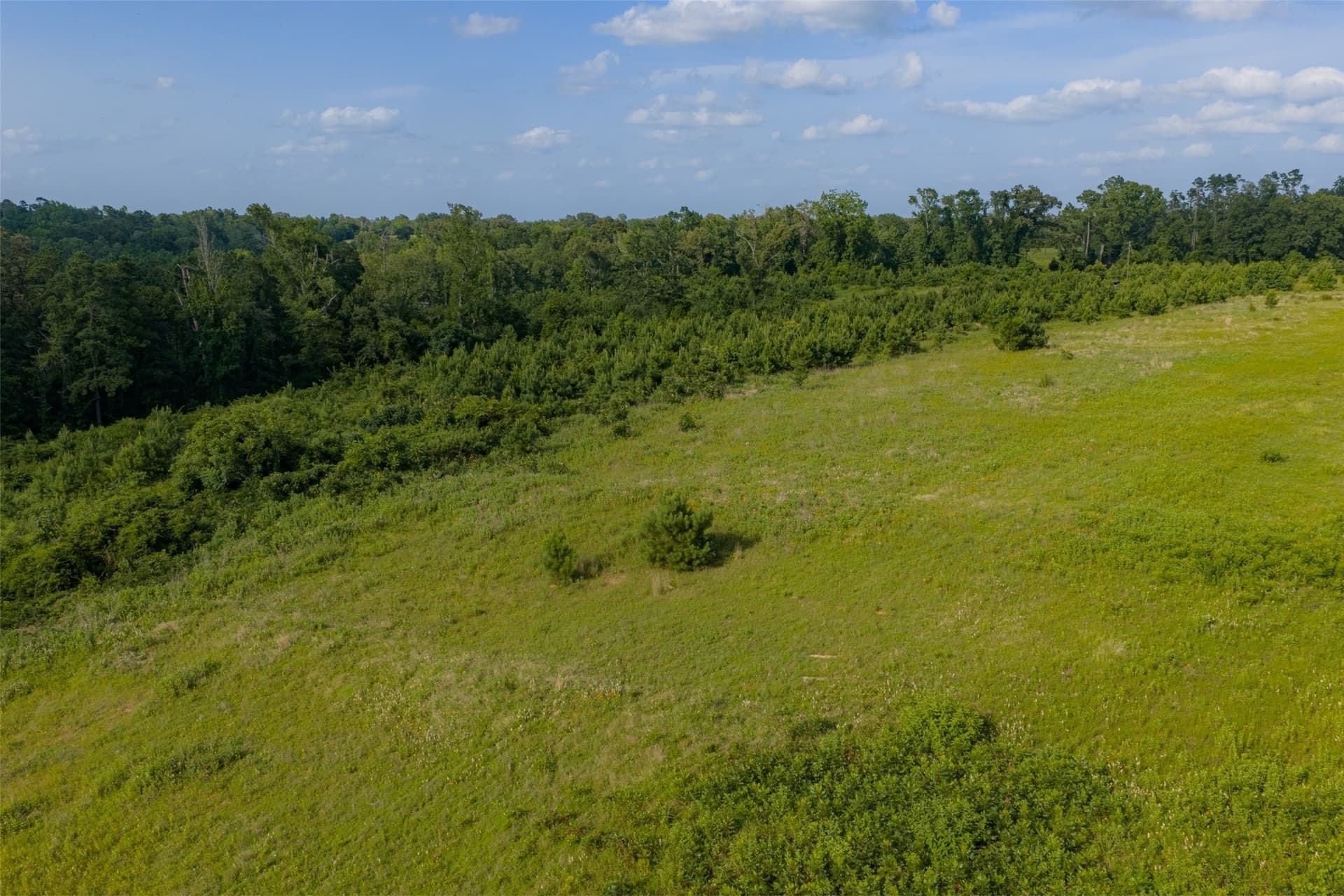48.29 acres in Rusk County - photo 37