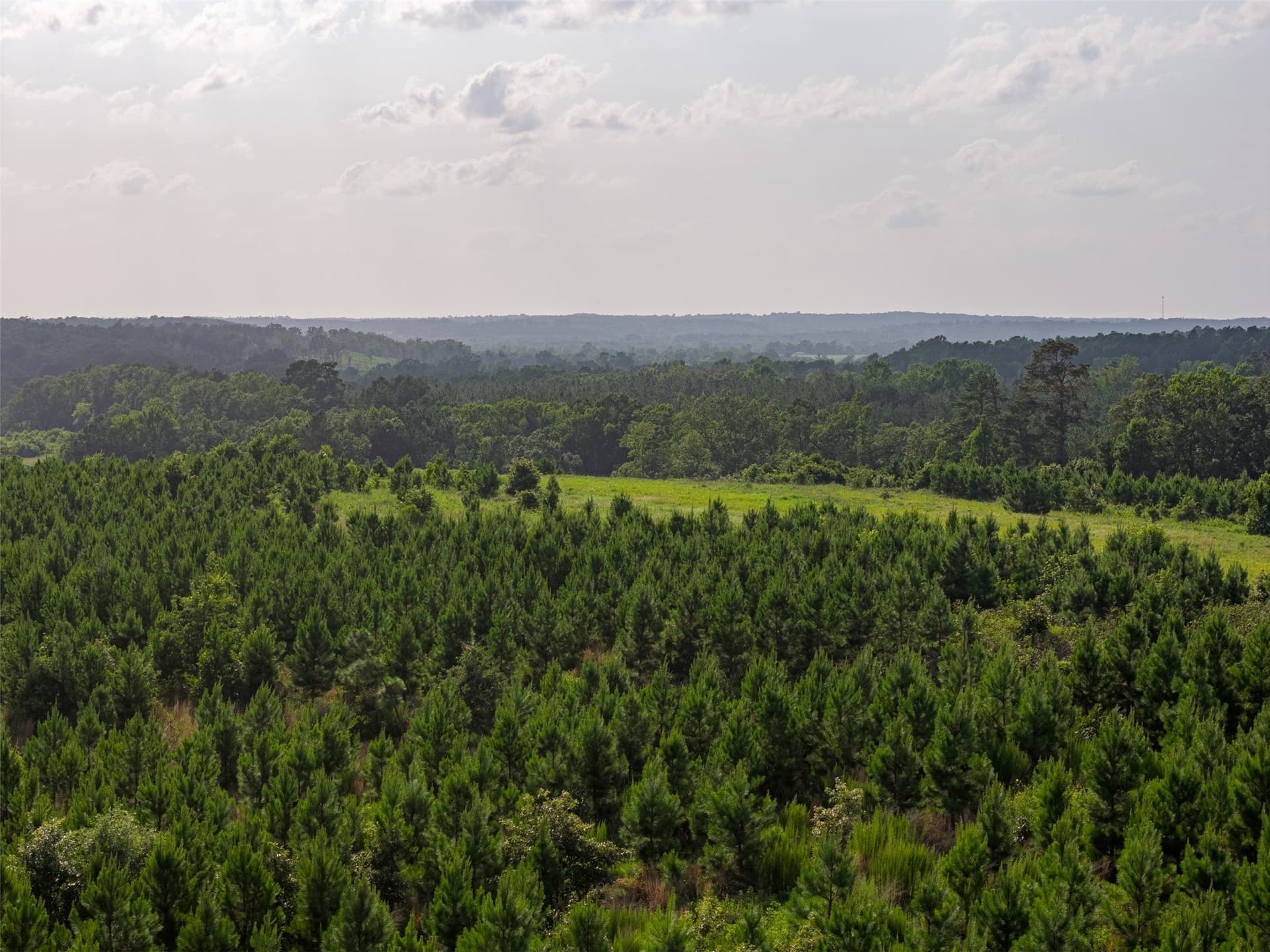48.29 acres in Rusk County - photo 17
