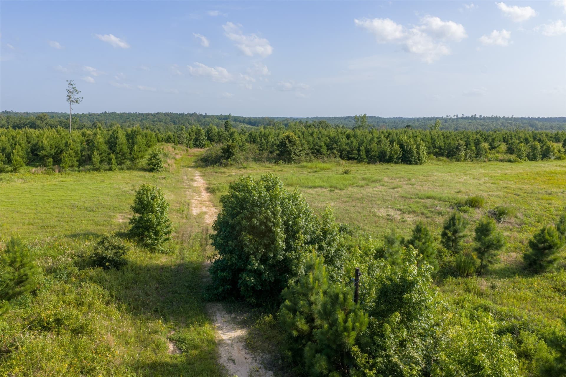 48.29 acres in Rusk County - photo 26