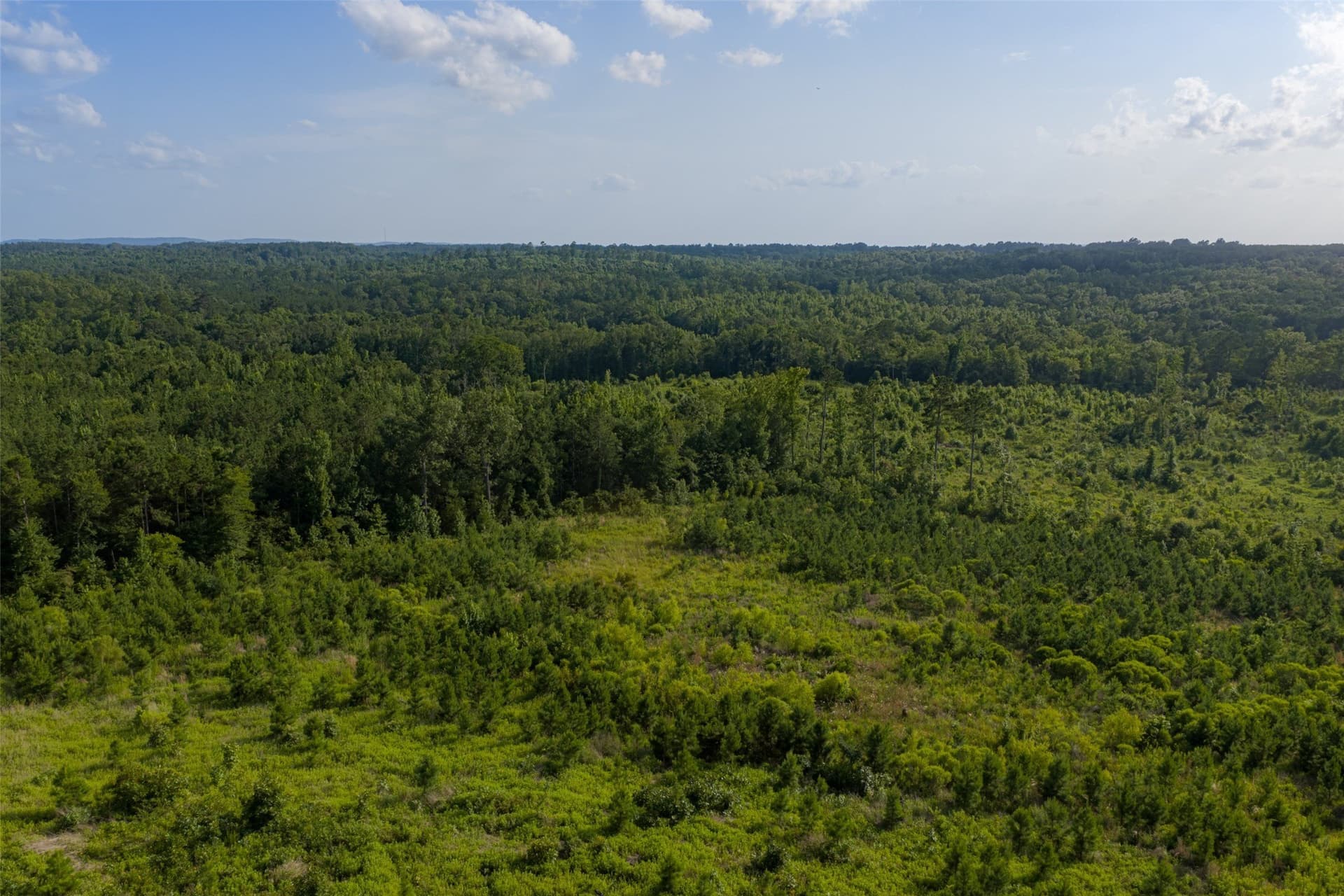 48.29 acres in Rusk County - photo 9